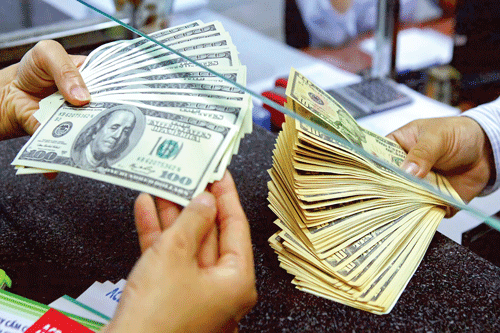 Ảnh minh họa: LONG THANH