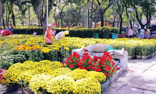 Nô nức vào xuân ảnh 3 Nô nức vào xuân ảnh 3