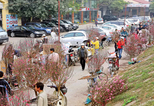 Nô nức vào xuân ảnh 6 Nô nức vào xuân ảnh 6