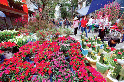 Nô nức vào xuân ảnh 5 Nô nức vào xuân ảnh 5