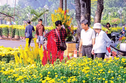 Nô nức vào xuân ảnh 4 Nô nức vào xuân ảnh 4