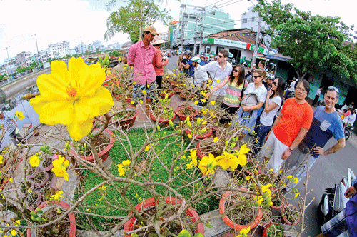 Nô nức vào xuân ảnh 7 Nô nức vào xuân ảnh 7