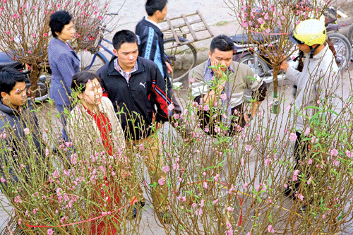Rực rỡ hoa đào Hà Nội. Ảnh: Lã Anh Khu chợ hoa tại trung tâm quận 1, TPHCM. Ảnh: Long Thanh Hội chợ hoa Xuân tại Công viên Tao Đàn, TPHCM. Ảnh: Cao Thăng Hội chợ hoa Xuân TPHCM tại Công viên Gia Định. Ảnh: Long Thanh Khu chợ hoa Tết truyền thống của Hà Nội tại phố Hàng Ngang. Ảnh: Lã Anh Một khu chợ hoa đào ven sông Hồng, Hà Nội. Ảnh: Lã Anh Khách quốc tế thích thú với Hội chợ hoa “trên thuyền dưới bến” dài 3km dọc theo bến Bình Đông, quận 8, TPHCM. Ảnh: Long Thanh Rộn ràng mua sắm Tết tại phố Hàng Mã, Hà Nội. Ảnh: Lã Anh Rực rỡ hoa đào Hà Nội. Ảnh: Lã Anh Khu chợ hoa tại trung tâm quận 1, TPHCM. Ảnh: Long Thanh Hội chợ hoa Xuân tại Công viên Tao Đàn, TPHCM. Ảnh: Cao Thăng Hội chợ hoa Xuân TPHCM tại Công viên Gia Định. Ảnh: Long Thanh Khu chợ hoa Tết truyền thống của Hà Nội tại phố Hàng Ngang. Ảnh: Lã Anh Một khu chợ hoa đào ven sông Hồng, Hà Nội. Ảnh: Lã Anh Khách quốc tế thích thú với Hội chợ hoa “trên thuyền dưới bến” dài 3km dọc theo bến Bình Đông, quận 8, TPHCM. Ảnh: Long Thanh Rộn ràng mua sắm Tết tại phố Hàng Mã, Hà Nội. Ảnh: Lã Anh