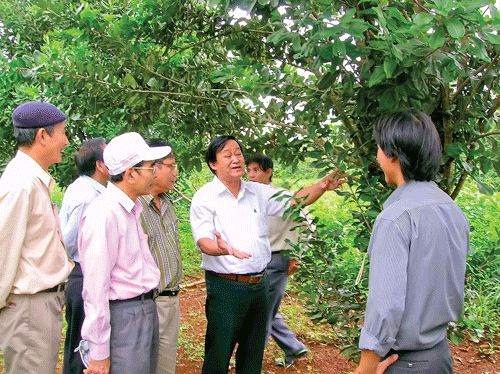 TS. Nguyễn Lân Hùng hướng dẫn nông dân Đắk Lắk trồng cây mắc-ca.