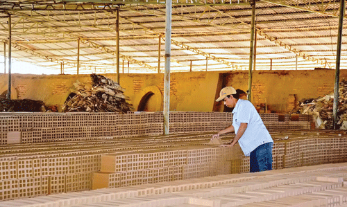 Đất Thủ vươn mình mạnh mẽ ảnh 6