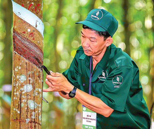 Cù lao Phố căng tràn sức sống ảnh 6 Cù lao Phố căng tràn sức sống ảnh 6