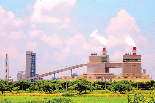 Cù lao Phố căng tràn sức sống ảnh 9 Cù lao Phố căng tràn sức sống ảnh 9