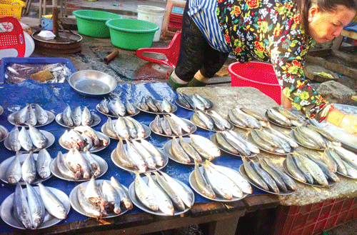 Cá đồng giá từng dĩa.