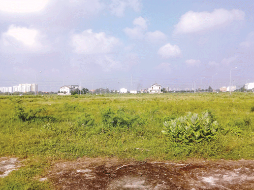 Nhiều căn biệt thự xây xong để đó. Cánh đồng cỏ cũng là nguồn thức ăn dồi dào cho những đàn bò. Hàng ngàn nền đất bỏ hoang cỏ mọc um tùm. Biệt thự được xây dựng để nuôi chim yến. Phút nghỉ ngơi của đàn bò bên trong dự án đất nền biệt thự . Nhiều căn biệt thự xây xong để đó. Cánh đồng cỏ cũng là nguồn thức ăn dồi dào cho những đàn bò. Hàng ngàn nền đất bỏ hoang cỏ mọc um tùm. Biệt thự được xây dựng để nuôi chim yến. Phút nghỉ ngơi của đàn bò bên trong dự án đất nền biệt thự .