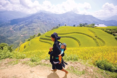 Phụ nữ vùng cao địu con đi dự lễ cơm mới tại Nhà văn hóa xã Bản Phùng. Máy tuốt lúa thay sức đập cơ bắp trước đây. Đổ thóc vào bao chuyển về nhà. Mùa gặt vùng cao.