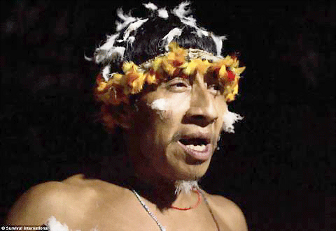 Một phụ nữ trong tộc cho sóc bú. Những động vật hoang dã được coi như thành viên trong gia đình tại bộ lạc của người Awa. Bộ lạc Awa gần như không có tiếp xúc với thế giới bên ngoài. Nhưng cuộc sống hài hòa với thiên nhiên đó đang bị xói mòn, và có nguy cơ biến mất mãi mãi. Trong số hàng chục ngàn người Awa sống rải rác trên khắp tiểu bang Maranhao khi người Bồ Đào Nha đặt chân đến đây 500 năm trước, hiện chỉ còn khoảng 400 người. Hầu như tất cả trong số họ đều bị chết bởi dịch bệnh như bệnh đậu mùa, bệnh sởi và bệnh cúm mà thực dân mang tới. Những người sống sót thì bị bắt làm nô lệ và đưa vào làm việc trên các đồn điền trồng cao su và mía. Những động vật hoang dã cũng tham gia vào các công việc hàng ngày như tách hạt, hái quả. Một bô lạc của bộ lạc Awa. Người Awa bị buộc phải sống du canh du cư để thoát khỏi nạn diệt chủng. Hơn 200 năm sau đó, họ đã trở thành thợ săn lành nghề và biết cách để xây dựng nơi trú ẩn chỉ trong vài giờ để rồi rời bỏ đi ngay sau đó. Với lối sống du canh du cư như vậy, họ đã quên hết các kiến thức về nông nghiệp và thậm chí không nhớ cả cách tạo ra lửa. Em bé đang đang chơi với "thú cưng". Một phụ nữ trong tộc cho sóc bú. Những động vật hoang dã được coi như thành viên trong gia đình tại bộ lạc của người Awa. Bộ lạc Awa gần như không có tiếp xúc với thế giới bên ngoài. Nhưng cuộc sống hài hòa với thiên nhiên đó đang bị xói mòn, và có nguy cơ biến mất mãi mãi. Trong số hàng chục ngàn người Awa sống rải rác trên khắp tiểu bang Maranhao khi người Bồ Đào Nha đặt chân đến đây 500 năm trước, hiện chỉ còn khoảng 400 người. Hầu như tất cả trong số họ đều bị chết bởi dịch bệnh như bệnh đậu mùa, bệnh sởi và bệnh cúm mà thực dân mang tới. Những người sống sót thì bị bắt làm nô lệ và đưa vào làm việc trên các đồn điền trồng cao su và mía. Những động vật hoang dã cũng tham gia vào các công việc hàng ngày như tách hạt, hái quả. Một bô lạc của bộ lạc Awa. Người Awa bị buộc phải sống du canh du cư để thoát khỏi nạn diệt chủng. Hơn 200 năm sau đó, họ đã trở thành thợ săn lành nghề và biết cách để xây dựng nơi trú ẩn chỉ trong vài giờ để rồi rời bỏ đi ngay sau đó. Với lối sống du canh du cư như vậy, họ đã quên hết các kiến thức về nông nghiệp và thậm chí không nhớ cả cách tạo ra lửa. Em bé đang đang chơi với "thú cưng".