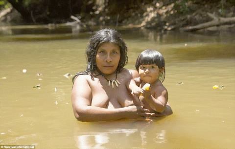 Một phụ nữ trong tộc cho sóc bú. Những động vật hoang dã được coi như thành viên trong gia đình tại bộ lạc của người Awa. Bộ lạc Awa gần như không có tiếp xúc với thế giới bên ngoài. Nhưng cuộc sống hài hòa với thiên nhiên đó đang bị xói mòn, và có nguy cơ biến mất mãi mãi. Trong số hàng chục ngàn người Awa sống rải rác trên khắp tiểu bang Maranhao khi người Bồ Đào Nha đặt chân đến đây 500 năm trước, hiện chỉ còn khoảng 400 người. Hầu như tất cả trong số họ đều bị chết bởi dịch bệnh như bệnh đậu mùa, bệnh sởi và bệnh cúm mà thực dân mang tới. Những người sống sót thì bị bắt làm nô lệ và đưa vào làm việc trên các đồn điền trồng cao su và mía. Những động vật hoang dã cũng tham gia vào các công việc hàng ngày như tách hạt, hái quả. Một bô lạc của bộ lạc Awa. Người Awa bị buộc phải sống du canh du cư để thoát khỏi nạn diệt chủng. Hơn 200 năm sau đó, họ đã trở thành thợ săn lành nghề và biết cách để xây dựng nơi trú ẩn chỉ trong vài giờ để rồi rời bỏ đi ngay sau đó. Với lối sống du canh du cư như vậy, họ đã quên hết các kiến thức về nông nghiệp và thậm chí không nhớ cả cách tạo ra lửa. Em bé đang đang chơi với "thú cưng". Một phụ nữ trong tộc cho sóc bú. Những động vật hoang dã được coi như thành viên trong gia đình tại bộ lạc của người Awa. Bộ lạc Awa gần như không có tiếp xúc với thế giới bên ngoài. Nhưng cuộc sống hài hòa với thiên nhiên đó đang bị xói mòn, và có nguy cơ biến mất mãi mãi. Trong số hàng chục ngàn người Awa sống rải rác trên khắp tiểu bang Maranhao khi người Bồ Đào Nha đặt chân đến đây 500 năm trước, hiện chỉ còn khoảng 400 người. Hầu như tất cả trong số họ đều bị chết bởi dịch bệnh như bệnh đậu mùa, bệnh sởi và bệnh cúm mà thực dân mang tới. Những người sống sót thì bị bắt làm nô lệ và đưa vào làm việc trên các đồn điền trồng cao su và mía. Những động vật hoang dã cũng tham gia vào các công việc hàng ngày như tách hạt, hái quả. Một bô lạc của bộ lạc Awa. Người Awa bị buộc phải sống du canh du cư để thoát khỏi nạn diệt chủng. Hơn 200 năm sau đó, họ đã trở thành thợ săn lành nghề và biết cách để xây dựng nơi trú ẩn chỉ trong vài giờ để rồi rời bỏ đi ngay sau đó. Với lối sống du canh du cư như vậy, họ đã quên hết các kiến thức về nông nghiệp và thậm chí không nhớ cả cách tạo ra lửa. Em bé đang đang chơi với "thú cưng".