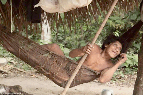 Một phụ nữ trong tộc cho sóc bú. Những động vật hoang dã được coi như thành viên trong gia đình tại bộ lạc của người Awa. Bộ lạc Awa gần như không có tiếp xúc với thế giới bên ngoài. Nhưng cuộc sống hài hòa với thiên nhiên đó đang bị xói mòn, và có nguy cơ biến mất mãi mãi. Trong số hàng chục ngàn người Awa sống rải rác trên khắp tiểu bang Maranhao khi người Bồ Đào Nha đặt chân đến đây 500 năm trước, hiện chỉ còn khoảng 400 người. Hầu như tất cả trong số họ đều bị chết bởi dịch bệnh như bệnh đậu mùa, bệnh sởi và bệnh cúm mà thực dân mang tới. Những người sống sót thì bị bắt làm nô lệ và đưa vào làm việc trên các đồn điền trồng cao su và mía. Những động vật hoang dã cũng tham gia vào các công việc hàng ngày như tách hạt, hái quả. Một bô lạc của bộ lạc Awa. Người Awa bị buộc phải sống du canh du cư để thoát khỏi nạn diệt chủng. Hơn 200 năm sau đó, họ đã trở thành thợ săn lành nghề và biết cách để xây dựng nơi trú ẩn chỉ trong vài giờ để rồi rời bỏ đi ngay sau đó. Với lối sống du canh du cư như vậy, họ đã quên hết các kiến thức về nông nghiệp và thậm chí không nhớ cả cách tạo ra lửa. Em bé đang đang chơi với "thú cưng". Một phụ nữ trong tộc cho sóc bú. Những động vật hoang dã được coi như thành viên trong gia đình tại bộ lạc của người Awa. Bộ lạc Awa gần như không có tiếp xúc với thế giới bên ngoài. Nhưng cuộc sống hài hòa với thiên nhiên đó đang bị xói mòn, và có nguy cơ biến mất mãi mãi. Trong số hàng chục ngàn người Awa sống rải rác trên khắp tiểu bang Maranhao khi người Bồ Đào Nha đặt chân đến đây 500 năm trước, hiện chỉ còn khoảng 400 người. Hầu như tất cả trong số họ đều bị chết bởi dịch bệnh như bệnh đậu mùa, bệnh sởi và bệnh cúm mà thực dân mang tới. Những người sống sót thì bị bắt làm nô lệ và đưa vào làm việc trên các đồn điền trồng cao su và mía. Những động vật hoang dã cũng tham gia vào các công việc hàng ngày như tách hạt, hái quả. Một bô lạc của bộ lạc Awa. Người Awa bị buộc phải sống du canh du cư để thoát khỏi nạn diệt chủng. Hơn 200 năm sau đó, họ đã trở thành thợ săn lành nghề và biết cách để xây dựng nơi trú ẩn chỉ trong vài giờ để rồi rời bỏ đi ngay sau đó. Với lối sống du canh du cư như vậy, họ đã quên hết các kiến thức về nông nghiệp và thậm chí không nhớ cả cách tạo ra lửa. Em bé đang đang chơi với "thú cưng".