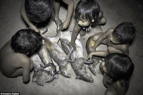 Một phụ nữ trong tộc cho sóc bú. Những động vật hoang dã được coi như thành viên trong gia đình tại bộ lạc của người Awa. Bộ lạc Awa gần như không có tiếp xúc với thế giới bên ngoài. Nhưng cuộc sống hài hòa với thiên nhiên đó đang bị xói mòn, và có nguy cơ biến mất mãi mãi. Trong số hàng chục ngàn người Awa sống rải rác trên khắp tiểu bang Maranhao khi người Bồ Đào Nha đặt chân đến đây 500 năm trước, hiện chỉ còn khoảng 400 người. Hầu như tất cả trong số họ đều bị chết bởi dịch bệnh như bệnh đậu mùa, bệnh sởi và bệnh cúm mà thực dân mang tới. Những người sống sót thì bị bắt làm nô lệ và đưa vào làm việc trên các đồn điền trồng cao su và mía. Những động vật hoang dã cũng tham gia vào các công việc hàng ngày như tách hạt, hái quả. Một bô lạc của bộ lạc Awa. Người Awa bị buộc phải sống du canh du cư để thoát khỏi nạn diệt chủng. Hơn 200 năm sau đó, họ đã trở thành thợ săn lành nghề và biết cách để xây dựng nơi trú ẩn chỉ trong vài giờ để rồi rời bỏ đi ngay sau đó. Với lối sống du canh du cư như vậy, họ đã quên hết các kiến thức về nông nghiệp và thậm chí không nhớ cả cách tạo ra lửa. Em bé đang đang chơi với "thú cưng". Một phụ nữ trong tộc cho sóc bú. Những động vật hoang dã được coi như thành viên trong gia đình tại bộ lạc của người Awa. Bộ lạc Awa gần như không có tiếp xúc với thế giới bên ngoài. Nhưng cuộc sống hài hòa với thiên nhiên đó đang bị xói mòn, và có nguy cơ biến mất mãi mãi. Trong số hàng chục ngàn người Awa sống rải rác trên khắp tiểu bang Maranhao khi người Bồ Đào Nha đặt chân đến đây 500 năm trước, hiện chỉ còn khoảng 400 người. Hầu như tất cả trong số họ đều bị chết bởi dịch bệnh như bệnh đậu mùa, bệnh sởi và bệnh cúm mà thực dân mang tới. Những người sống sót thì bị bắt làm nô lệ và đưa vào làm việc trên các đồn điền trồng cao su và mía. Những động vật hoang dã cũng tham gia vào các công việc hàng ngày như tách hạt, hái quả. Một bô lạc của bộ lạc Awa. Người Awa bị buộc phải sống du canh du cư để thoát khỏi nạn diệt chủng. Hơn 200 năm sau đó, họ đã trở thành thợ săn lành nghề và biết cách để xây dựng nơi trú ẩn chỉ trong vài giờ để rồi rời bỏ đi ngay sau đó. Với lối sống du canh du cư như vậy, họ đã quên hết các kiến thức về nông nghiệp và thậm chí không nhớ cả cách tạo ra lửa. Em bé đang đang chơi với "thú cưng".