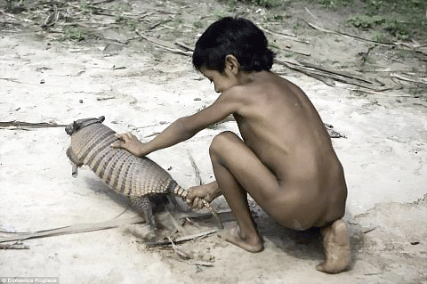 Một phụ nữ trong tộc cho sóc bú. Những động vật hoang dã được coi như thành viên trong gia đình tại bộ lạc của người Awa. Bộ lạc Awa gần như không có tiếp xúc với thế giới bên ngoài. Nhưng cuộc sống hài hòa với thiên nhiên đó đang bị xói mòn, và có nguy cơ biến mất mãi mãi. Trong số hàng chục ngàn người Awa sống rải rác trên khắp tiểu bang Maranhao khi người Bồ Đào Nha đặt chân đến đây 500 năm trước, hiện chỉ còn khoảng 400 người. Hầu như tất cả trong số họ đều bị chết bởi dịch bệnh như bệnh đậu mùa, bệnh sởi và bệnh cúm mà thực dân mang tới. Những người sống sót thì bị bắt làm nô lệ và đưa vào làm việc trên các đồn điền trồng cao su và mía. Những động vật hoang dã cũng tham gia vào các công việc hàng ngày như tách hạt, hái quả. Một bô lạc của bộ lạc Awa. Người Awa bị buộc phải sống du canh du cư để thoát khỏi nạn diệt chủng. Hơn 200 năm sau đó, họ đã trở thành thợ săn lành nghề và biết cách để xây dựng nơi trú ẩn chỉ trong vài giờ để rồi rời bỏ đi ngay sau đó. Với lối sống du canh du cư như vậy, họ đã quên hết các kiến thức về nông nghiệp và thậm chí không nhớ cả cách tạo ra lửa. Em bé đang đang chơi với "thú cưng". Một phụ nữ trong tộc cho sóc bú. Những động vật hoang dã được coi như thành viên trong gia đình tại bộ lạc của người Awa. Bộ lạc Awa gần như không có tiếp xúc với thế giới bên ngoài. Nhưng cuộc sống hài hòa với thiên nhiên đó đang bị xói mòn, và có nguy cơ biến mất mãi mãi. Trong số hàng chục ngàn người Awa sống rải rác trên khắp tiểu bang Maranhao khi người Bồ Đào Nha đặt chân đến đây 500 năm trước, hiện chỉ còn khoảng 400 người. Hầu như tất cả trong số họ đều bị chết bởi dịch bệnh như bệnh đậu mùa, bệnh sởi và bệnh cúm mà thực dân mang tới. Những người sống sót thì bị bắt làm nô lệ và đưa vào làm việc trên các đồn điền trồng cao su và mía. Những động vật hoang dã cũng tham gia vào các công việc hàng ngày như tách hạt, hái quả. Một bô lạc của bộ lạc Awa. Người Awa bị buộc phải sống du canh du cư để thoát khỏi nạn diệt chủng. Hơn 200 năm sau đó, họ đã trở thành thợ săn lành nghề và biết cách để xây dựng nơi trú ẩn chỉ trong vài giờ để rồi rời bỏ đi ngay sau đó. Với lối sống du canh du cư như vậy, họ đã quên hết các kiến thức về nông nghiệp và thậm chí không nhớ cả cách tạo ra lửa. Em bé đang đang chơi với "thú cưng".