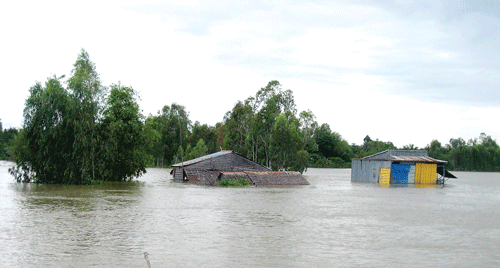 Chống chọi với lũ ảnh 6