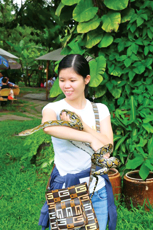 Một số loài bò sát đang trở thành thú cưng của người dân đô thị. Một số loài bò sát đang trở thành thú cưng của người dân đô thị.