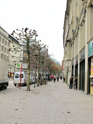 Hàng cây trơ trọi trên đường phố Hamburg - một thành phố cảng phương Bắc của Đức, nơi có số cây cầu nhiều nhất châu Âu. Hàng cây trơ trọi trên đường phố Hamburg - một thành phố cảng phương Bắc của Đức, nơi có số cây cầu nhiều nhất châu Âu.