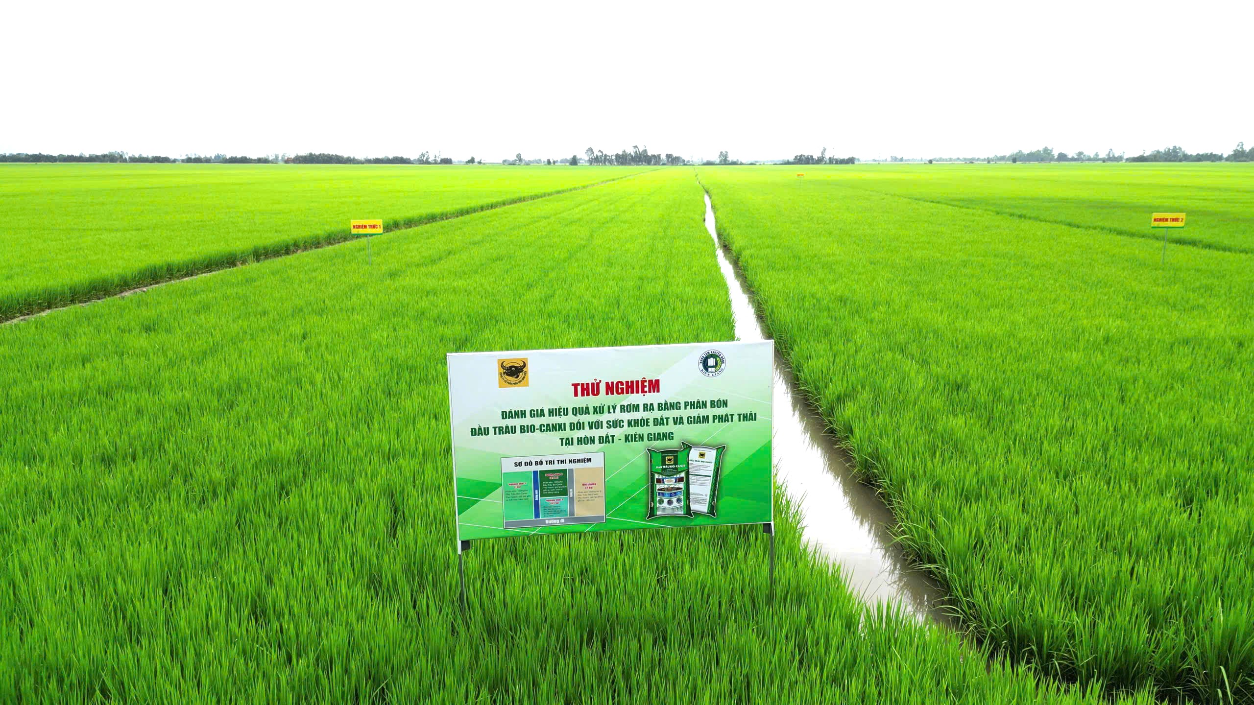 Mô hình thử nghiệm phân bón Đầu Trâu Bio-Canxi tại Hòn Đất, Kiên Giang.