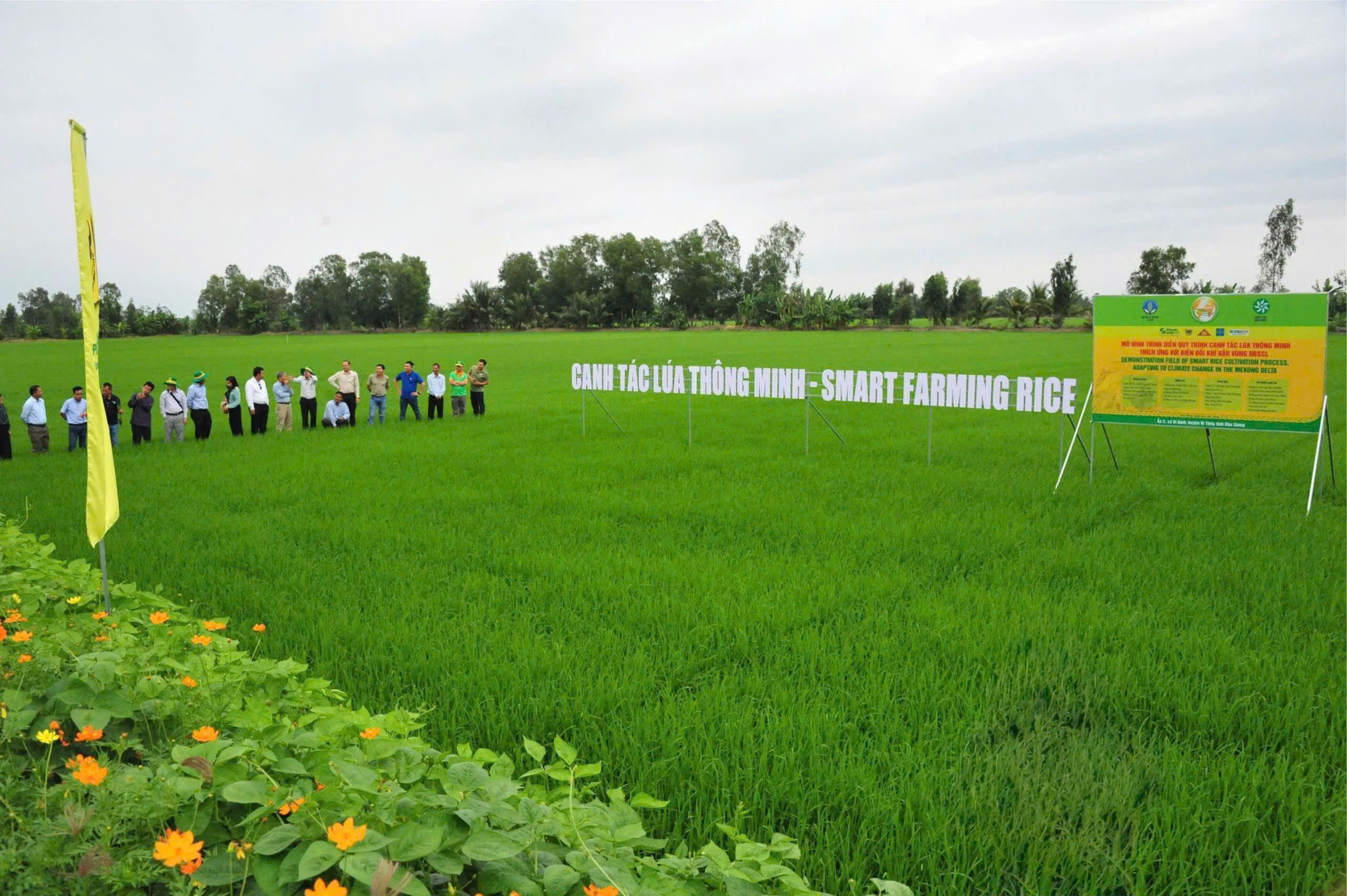 Chương trình "Canh tác lúa thông minh" cuar Công ty CPPB Bình Điền tự hào được góp phần vào việc phối hợp và triển khai thực hiện Đề án 1 triệu ha lúa chất lượng cao, phát thải thấp.