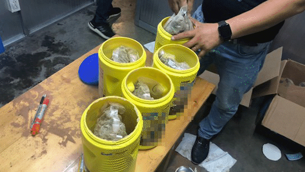 Gần 6kg nghi là ma tuý giấu trong quà tặng