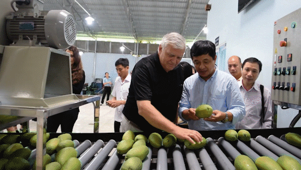 Tiêu thụ nông sản gặp khó khăn do dịch Covid-19