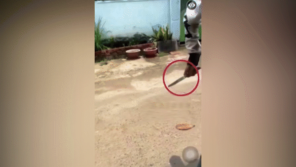 Nam shipper bị khách giả mua hàng cứa cổ, cướp nhẫn kim cương giữa ban ngày