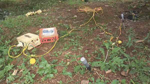 Nông dân mất ăn, mất ngủ vì canh, ngăn người lạ vào ruộng vườn kích giun đất