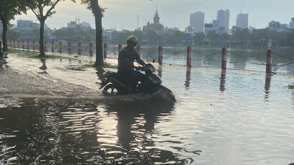 Tin nóng: Bắt người phụ nữ giết người cướp tài sản ở chợ đầu mối Thủ Đức; Bà Ngô Thị Tố Nhiên bị bắt do chiếm đoạt tài liệu của EVN