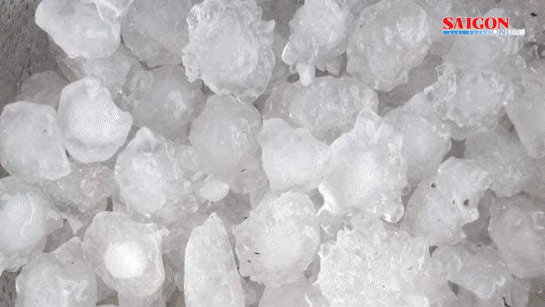 Bản tin trưa 22-4: Nhiều nơi xuất hiện mưa đá, dông lốc; Hoãn đấu thầu vàng