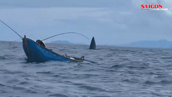 Bản tin tối 15-7: Cảnh báo nguy cơ sạt lở; Khẩn trương kêu gọi tàu thuyền trú ẩn, tránh áp thấp nhiệt đới