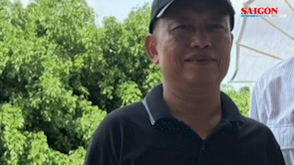 Bản tin ANTT 19-7: Chờ chấp hành án 14 năm tù, tiếp tục lừa đảo; Tìm thấy thi thể người mất tích