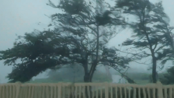 Typhoon Yagi makes landfall in Quang Ninh, Hai Phong