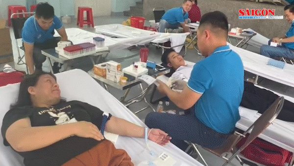 Hơn 300 người tham gia hiến máu tại phường Tam Long