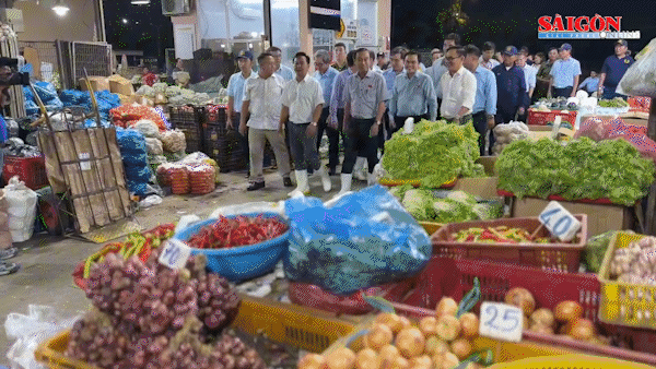 Thường trực HĐND TPHCM khảo sát ATTP tại chợ đầu mối Bình Điền