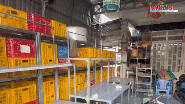 Bắt 2 vợ chồng chủ "shop online", thu 11.000 đôi dép giả