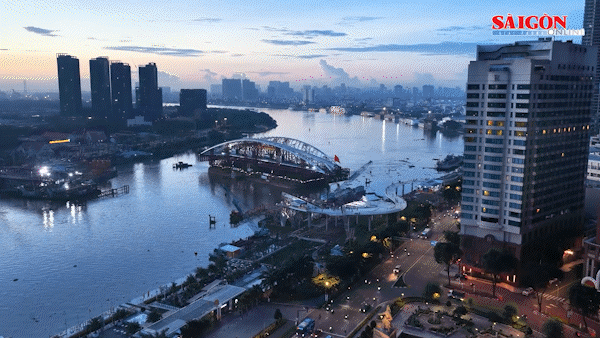Đi bán phở sớm, ngỡ ngàng ngắm “lá dừa nước” khổng lồ trong ánh bình minh thành phố