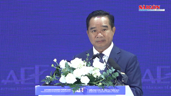 TPHCM mong muốn kết nối hiệu quả với các đô thị lớn trên thế giới