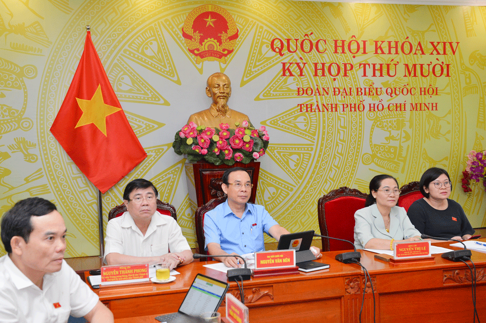 TPHCM kiến nghị tổ chức chính quyền đô thị không qua thí điểm ảnh 2