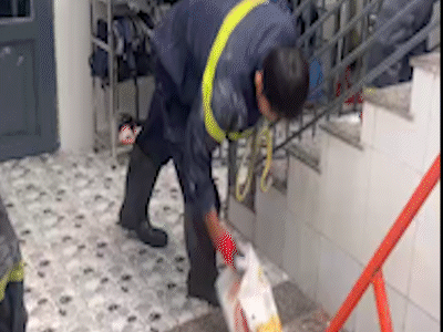 Cảnh sát PCCC vây bắt rắn dài gần 1 mét trong trường mầm non