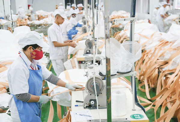 Private economy marks 40 years of integration and expansion