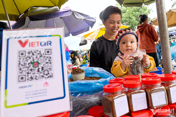 From mountain villages to big cities, digital economy takes root in daily life 