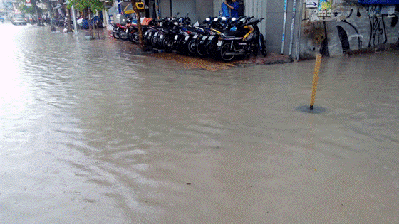 Downpour hits HCMC   ảnh 1