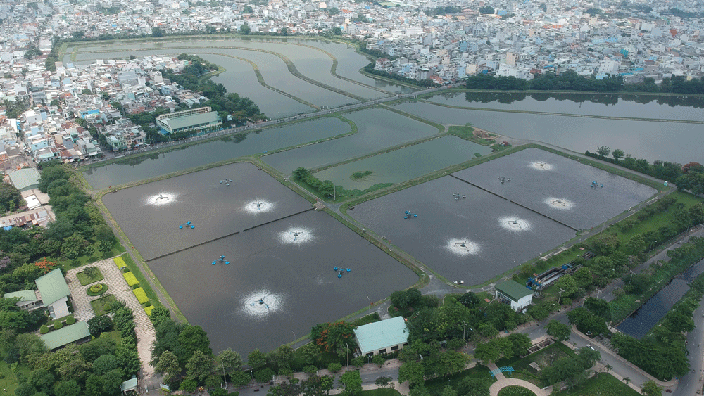 Voluntary carbon credits market could reach US$50 billion by 2030