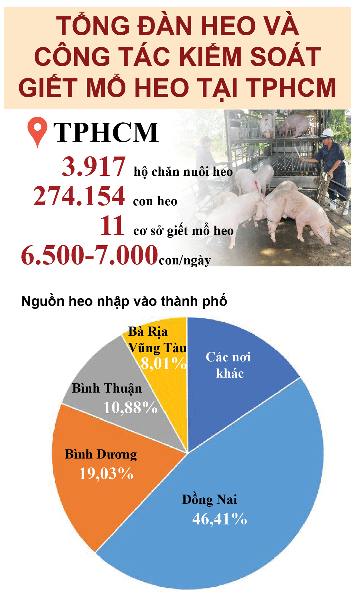 TPHCM kiểm soát giết mổ lậu, chăn nuôi nhỏ lẻ để phòng, chống dịch tả heo châu Phi  ảnh 4
