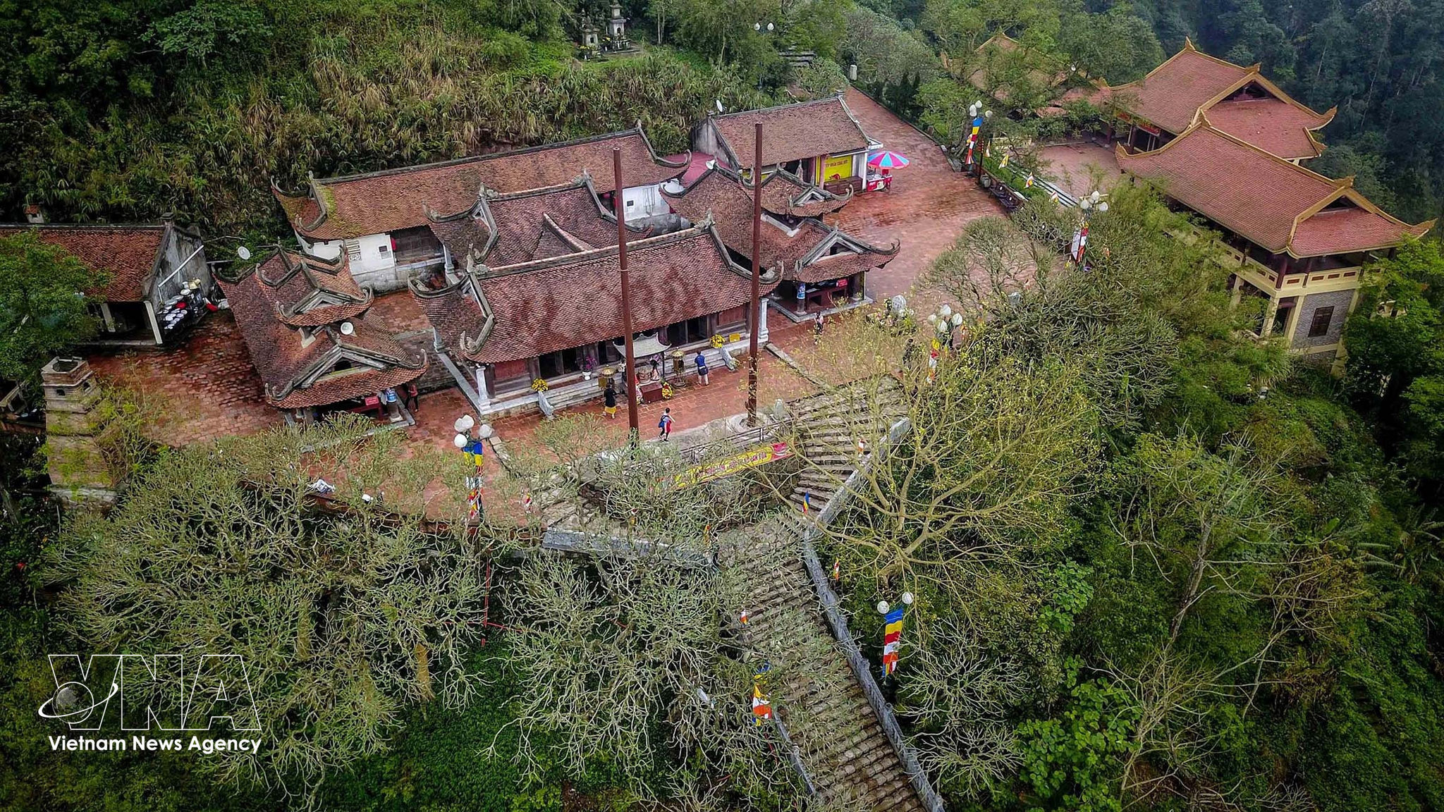 花安寺位于安子历史遗迹与名胜区（广宁省汪秘市），寺前有3棵树龄超过700年的古榕树。图自越通社