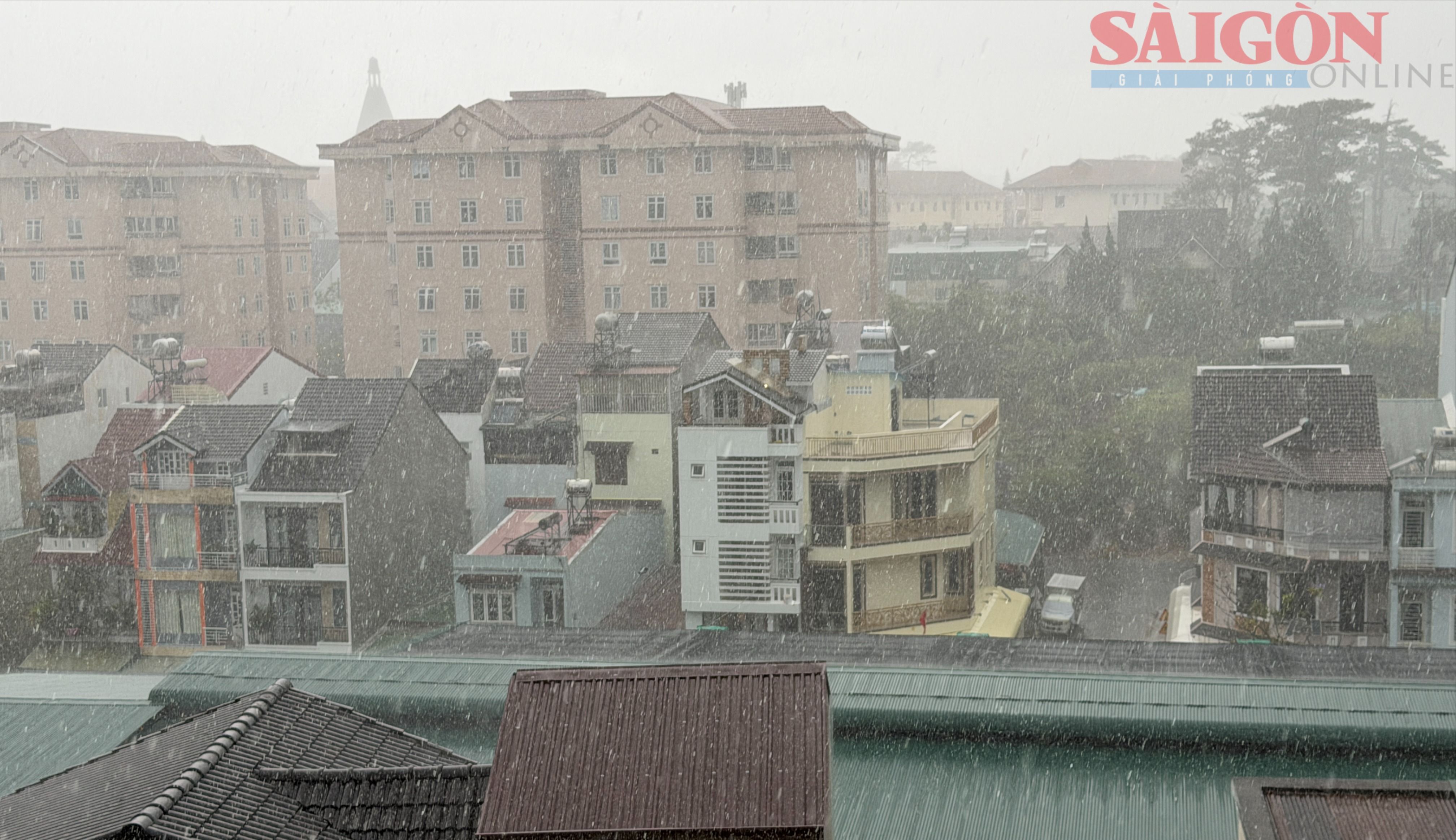 Lâm Đồng: Liên tiếp xuất hiện mưa giải nhiệt