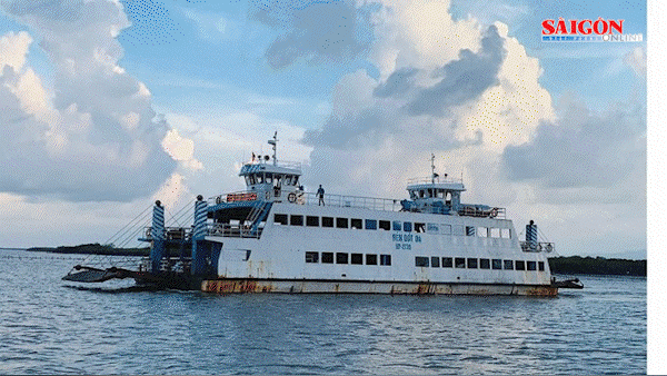 Podcast bản tin tối 22-7: Tạm dừng phà chở khách ra đảo Cát Bà; Đồng Nai: Tuyên án vụ xe Thành Bưởi gây tai nạn làm 9 người thương vong