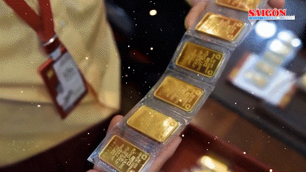 Bản tin trưa 23-7: Vàng SJC giảm xuống còn 79,5 triệu đồng/lượng; Bão số 2 vào Quảng Ninh, bắt đầu có gió rất mạnh