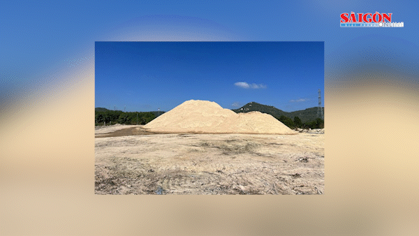 Đề nghị truy tố nữ giám đốc khai thác trái phép hơn 15.000 mét khối cát